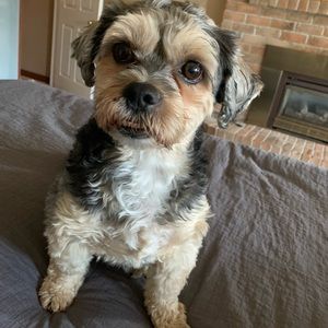 Meet your Posher, Maria